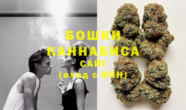 PSILOCYBIN Балабаново
