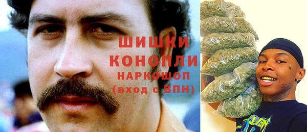 PSILOCYBIN Балабаново