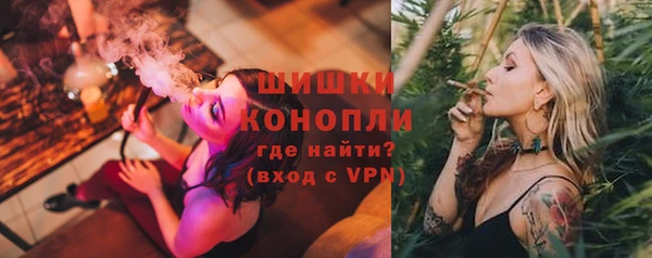 PSILOCYBIN Балабаново