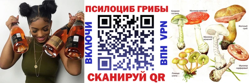 Псилоцибиновые грибы GOLDEN TEACHER  где найти   Белово 