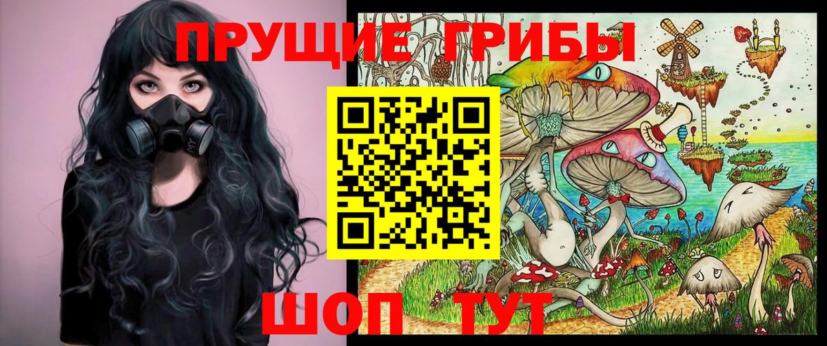 Псилоцибиновые грибы мицелий  Белово 