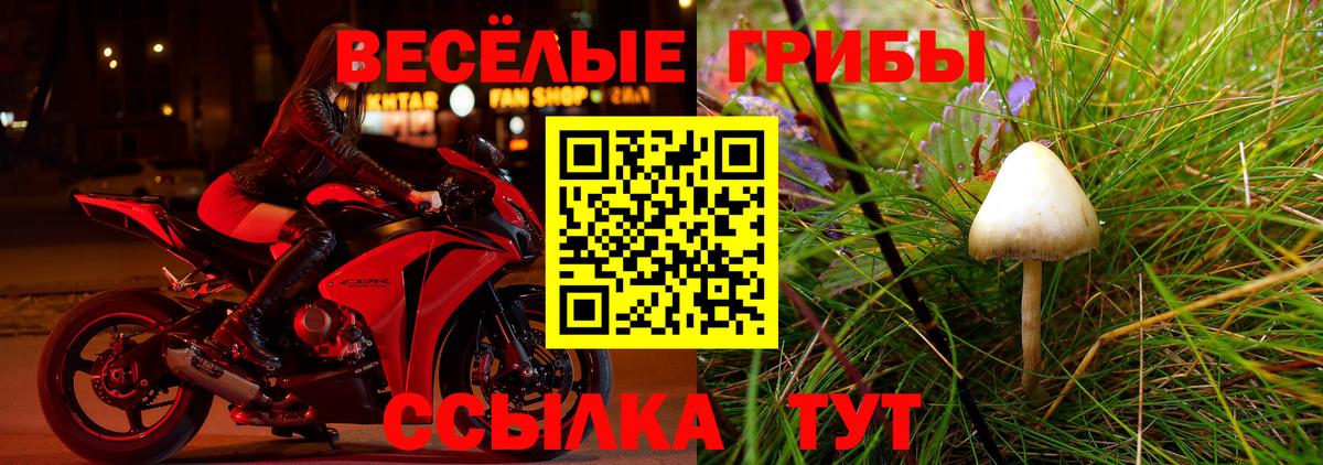 Белово  Галлюциногенные грибы MAGIC MUSHROOMS  Вход с VPN  Галлюциногенные грибы MAGIC MUSHROOMS 